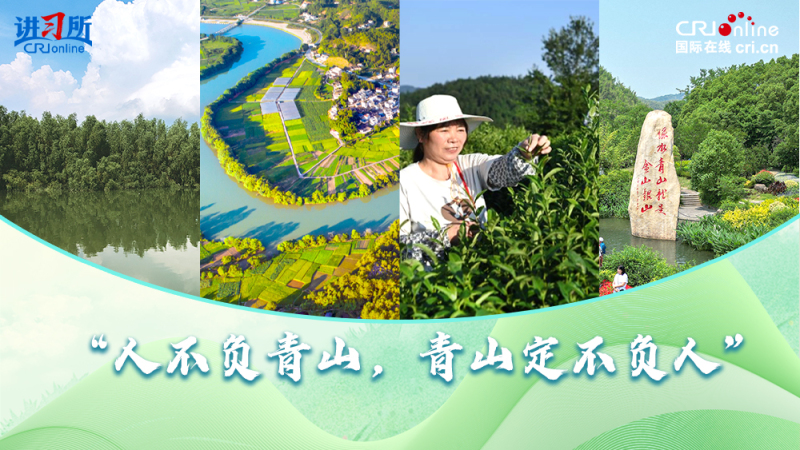 【讲习所·中国与世界】“人不负青山，青山定不负人”_fororder_封面(1)