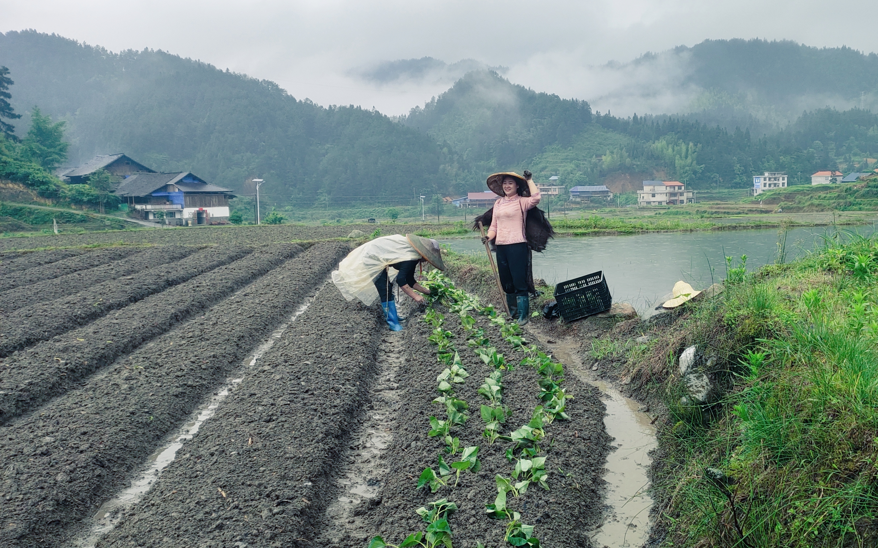 湖南城步基层实践者在青山中“踏”出振兴路_fororder_图片10