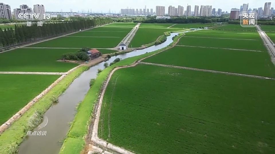 焦点访谈丨良田+良种+良机+良法 来看各地保丰收秘籍