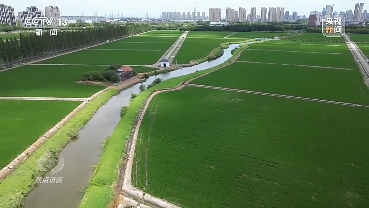焦点访谈丨良田+良种+良机+良法 来看各地保丰收秘籍