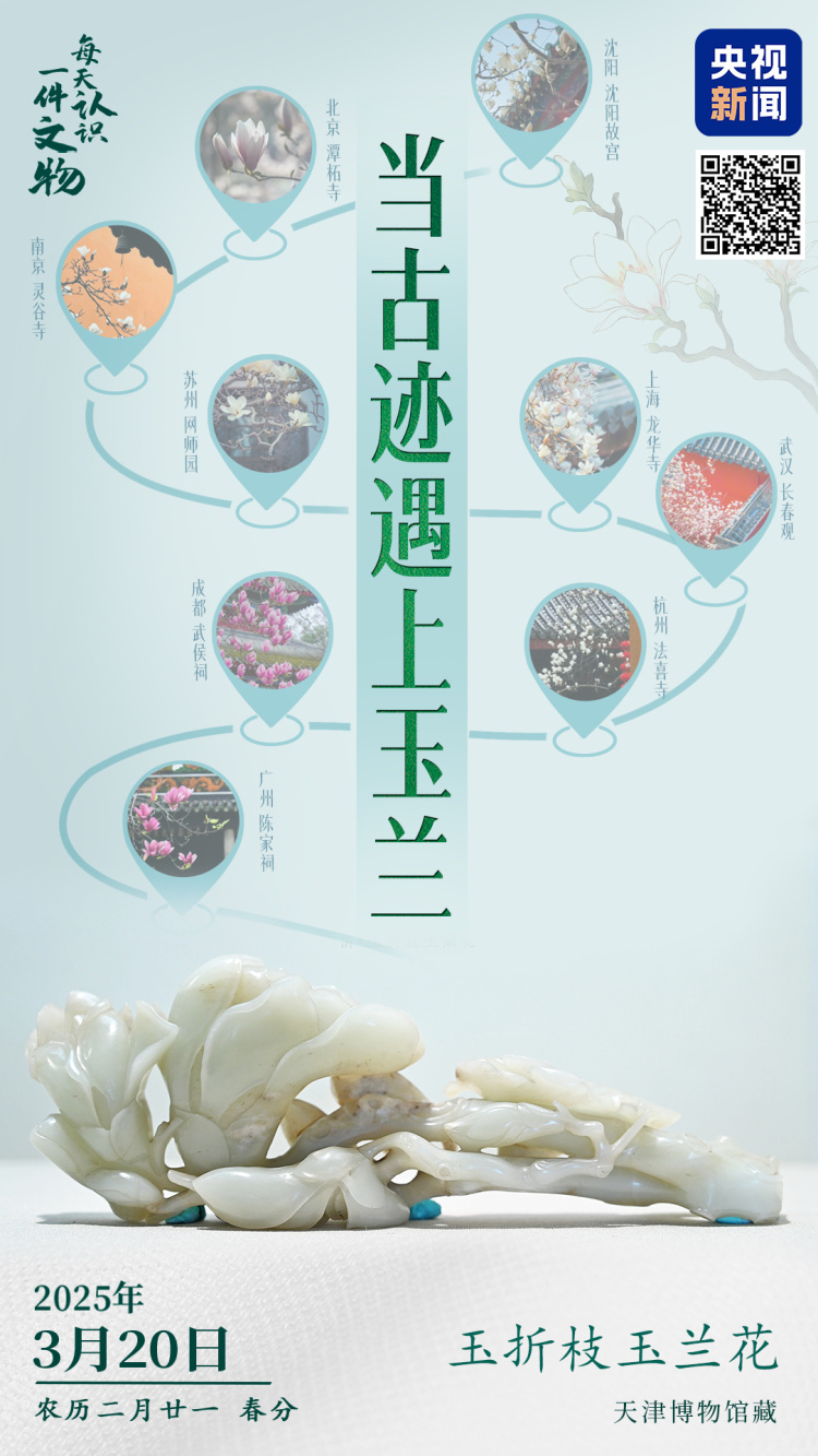 文化中国行·文博日历丨早春玉兰开 一起到全国古迹去追花（附打卡攻略）