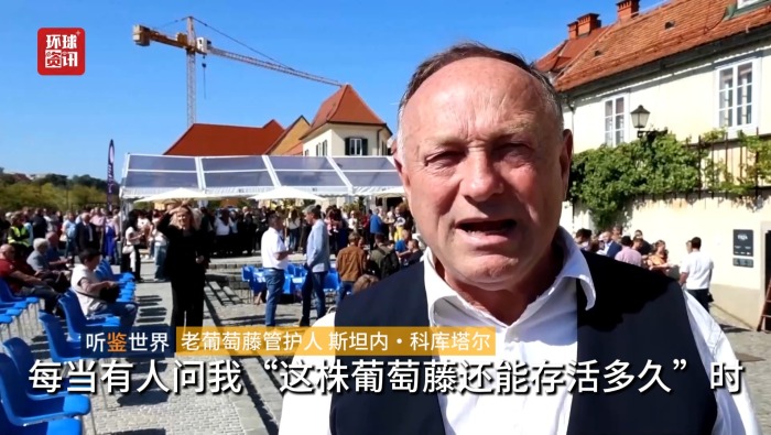 听鉴世界｜450多岁老葡萄藤迎来隆重采收庆典