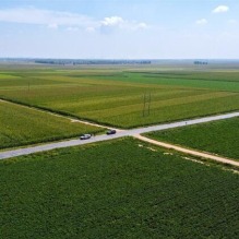 党建引领产业旺 乡村振兴展新姿_fororder_rBABC2bIUNuAYuRjAAAAAAAAAAA505.2560x1440.750x422