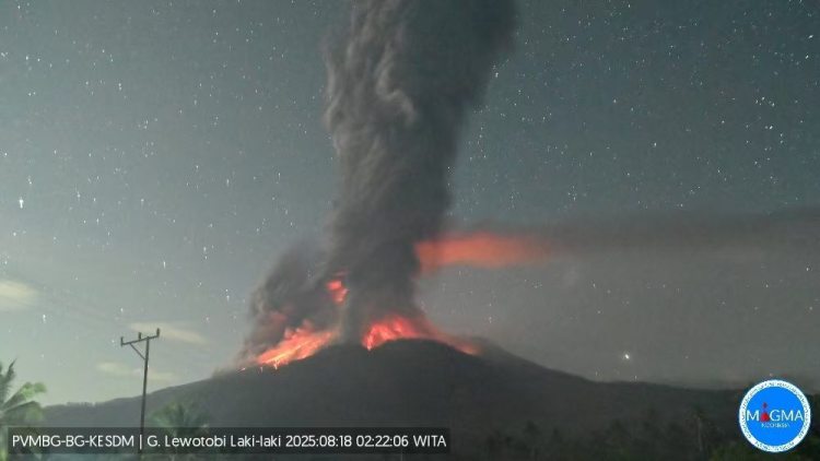 印尼勒沃托比火山喷发 灰柱高达8000米