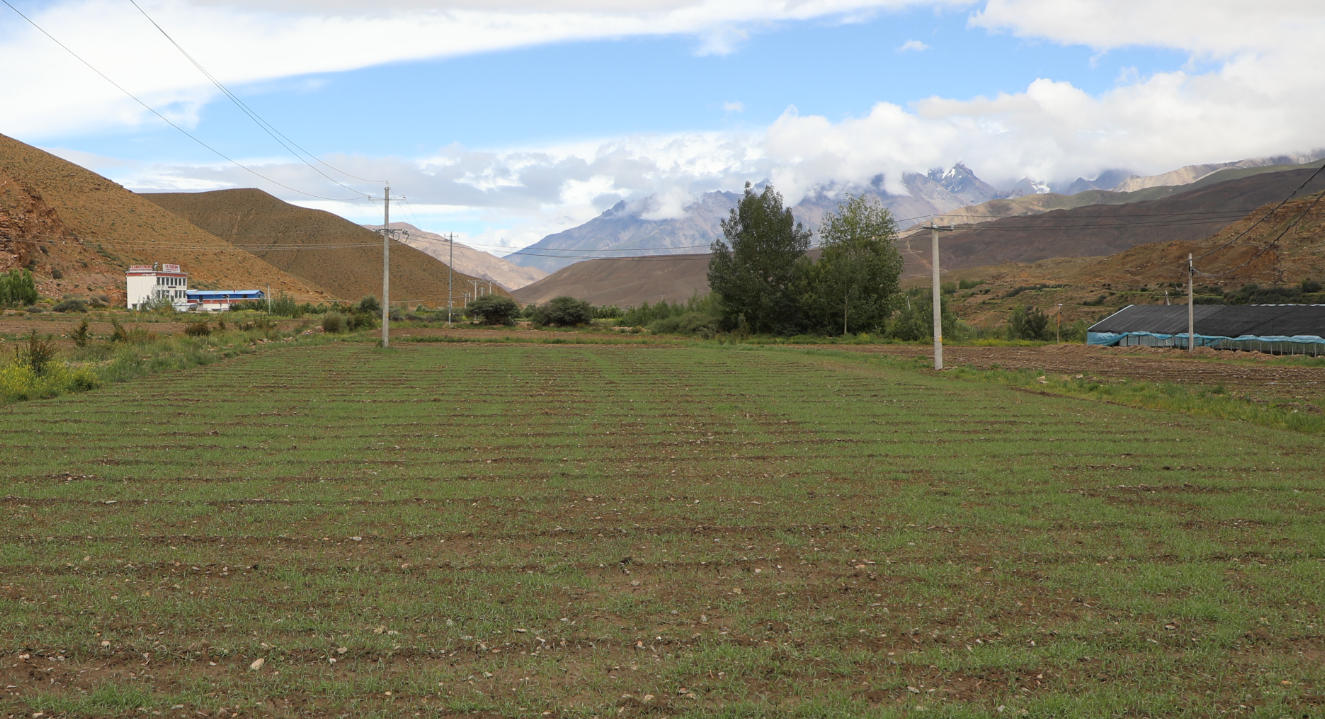 辉煌60年·我们的家园｜高原“旅客”上太空
