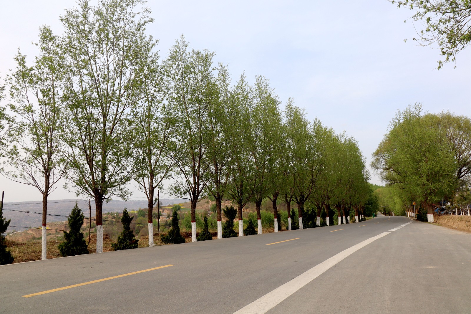 云山镇云土路：“四好公路”绘新景 繁花漫道促振兴_fororder_云山路2