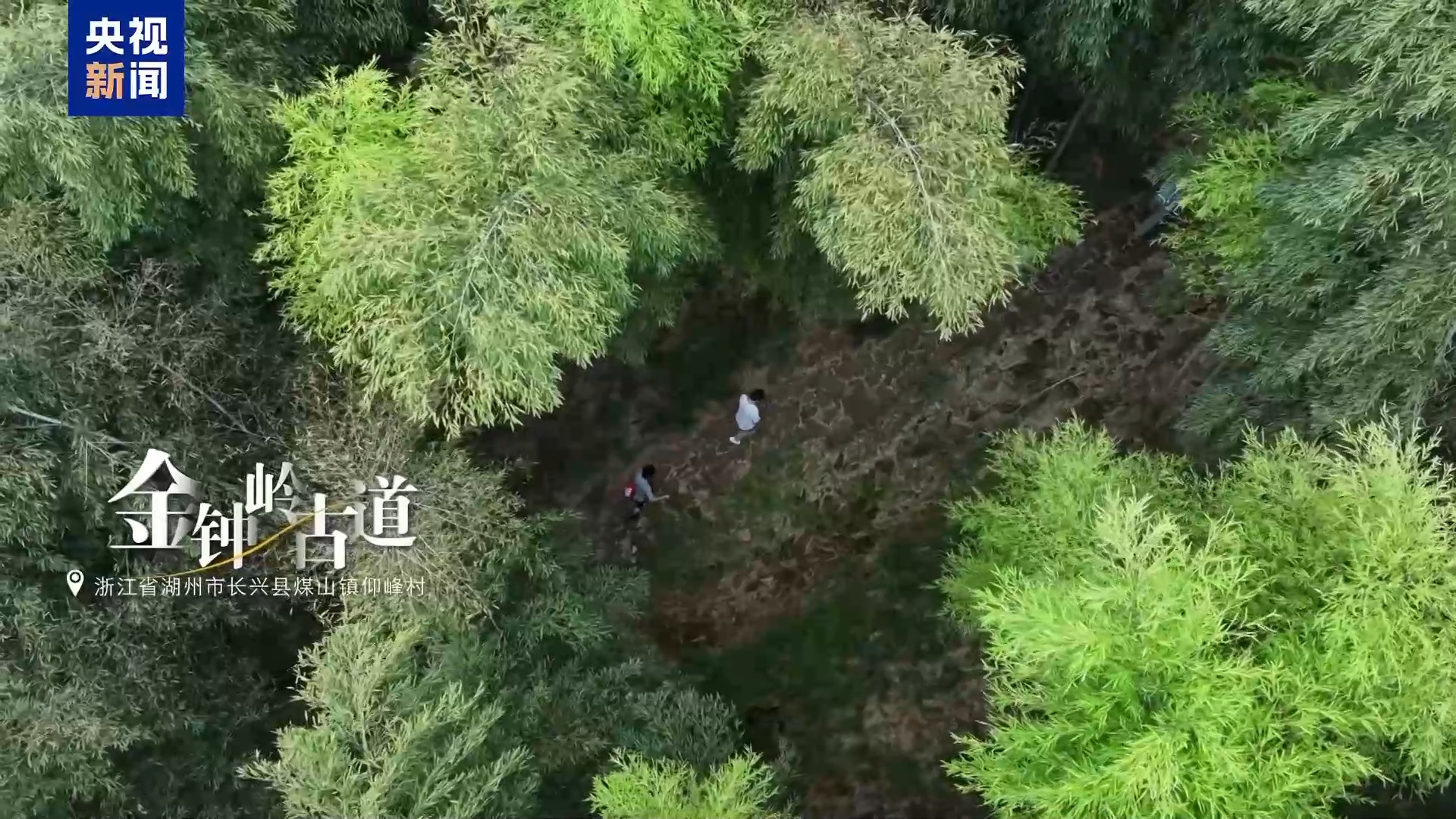 从革命旧址到绿色智造 浙江长兴老区“民富村美”活力迸发