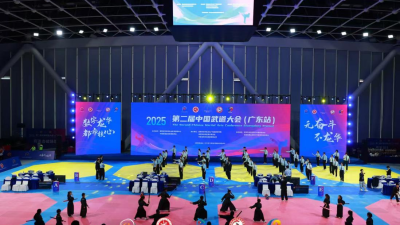 The 2025 2nd China Martial Arts Tournament (Guangdong) Held in Longhua