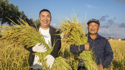 Xing’an League in Inner Mongolia Builds High-Standard Farmland to Safeguard Food Security