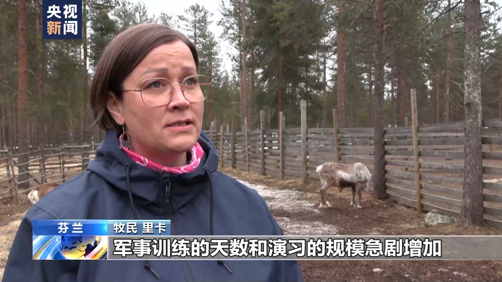 北约频繁在芬兰牧区演习 牧民担心惊扰驯鹿影响生计