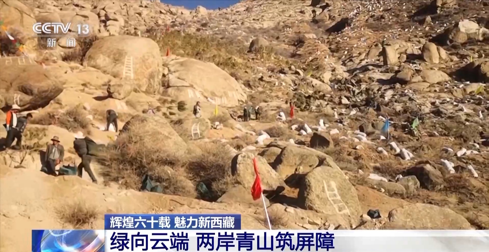 4年栽植苗木1.2亿多株 看拉萨高原如何披“绿装”