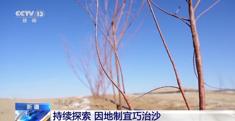 走！去塔克拉玛干沙漠，看“锁边”工程的N种模式→