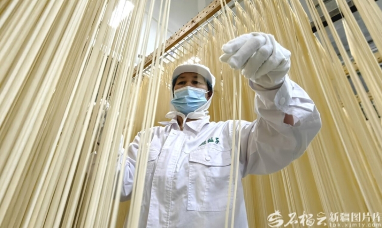 完整准确全面贯彻新时代党的治疆方略丨建设“西部粮仓”
