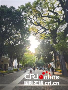 广州沙面岛的旅游印记与乡愁回响（两岸观察）_fororder_634ed8096e8840578a6075a07fd16da3