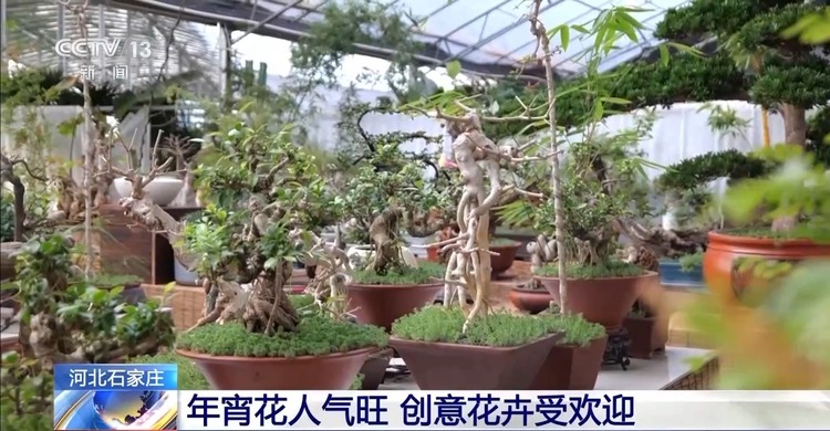 新年“好市”多！非遗集市人气旺 创意年宵花热销中