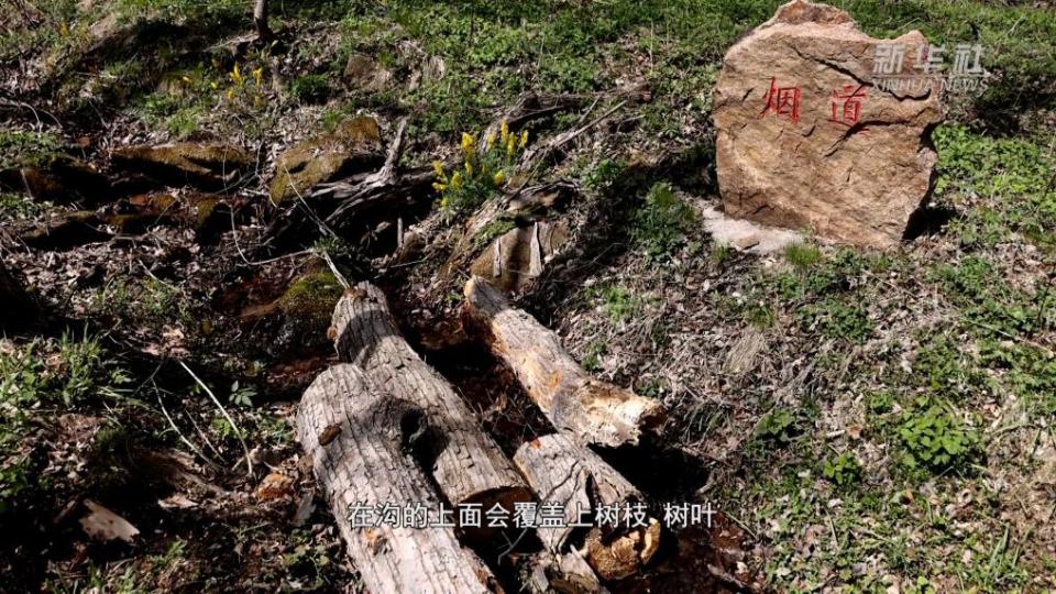 山河印记·寻访抗战足迹丨炊烟无痕 抗联密营里的“消烟道”