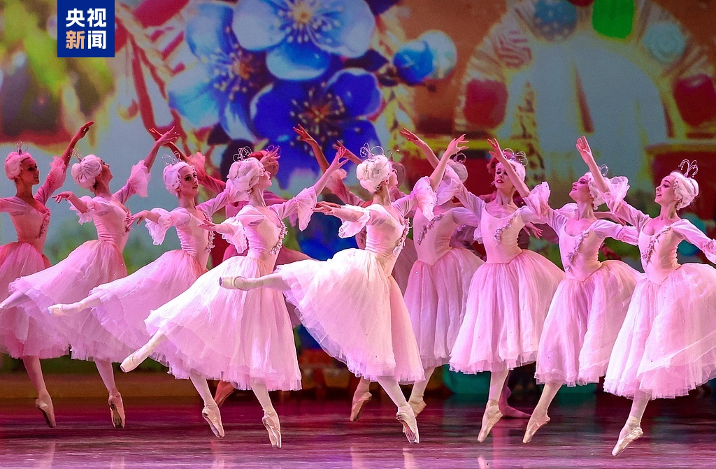 跟着习主席看世界丨在这“梨花开遍了天涯”的季节 去“三好”邻邦家做客