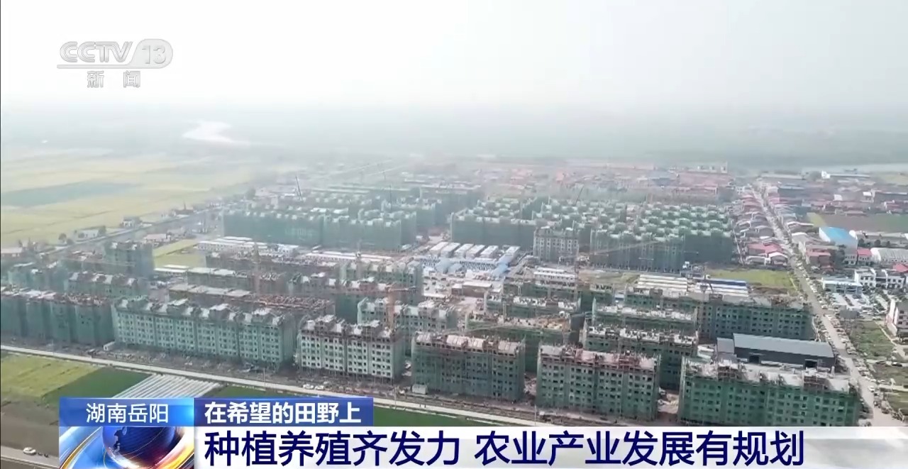 湖南华容团洲垸复垦还田 春耕进入高峰期