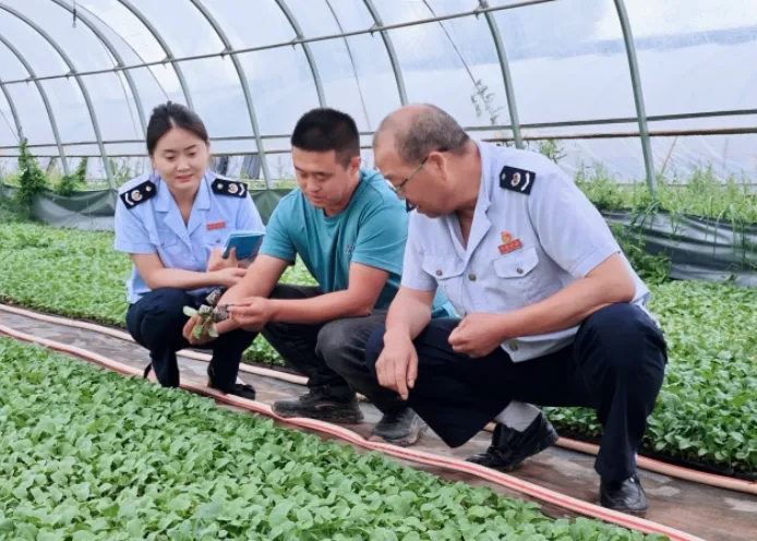 张掖：合规经营产业旺 税惠春风暖企心_fororder_3