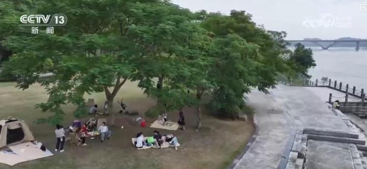 秋季文旅消费热力十足：银发专列跨省游与城市赏秋经济双双升温