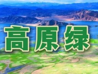 辉煌60载·魅力新西藏｜高原绿 幸福路