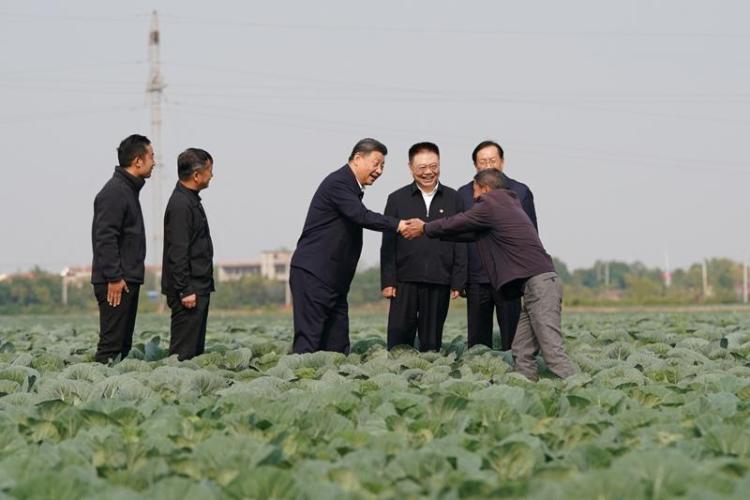 时政微观察丨奋斗，铸就欣欣向荣的中国