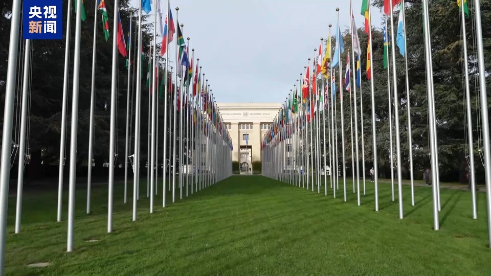 联合国官员：叙利亚数百万人流离失所 1700万人需要援助