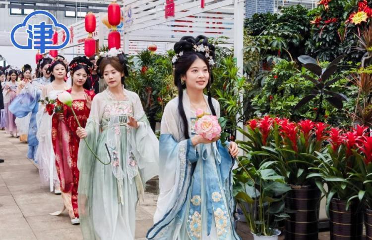 端午假期天津文旅市场热度持续攀升
