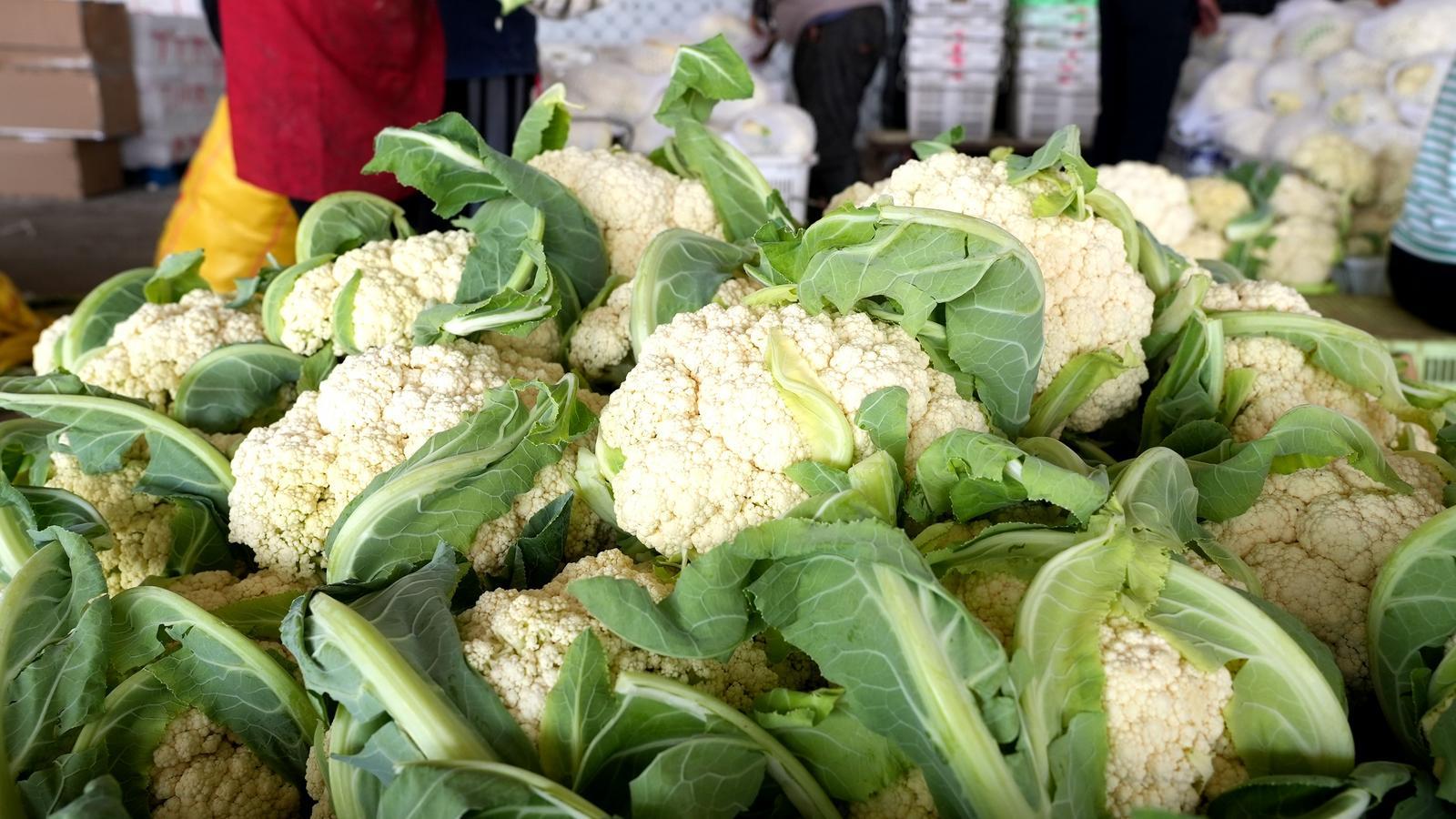 临夏永靖精耕“土特产“  捧牢富民“金饭碗”