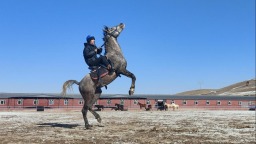 山丹：“热力全开”共绘新春文旅新图景