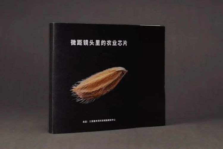 第35届香港印制大奖揭晓，雅昌斩获23个奖项！