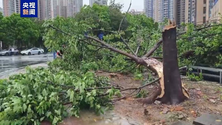 台风“蝴蝶”已移出广东 个别中小河流发生超警洪水