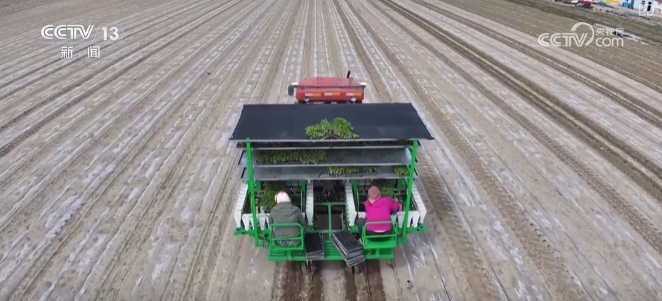 精播细作提质增效 智能农机成春耕生产“主角”