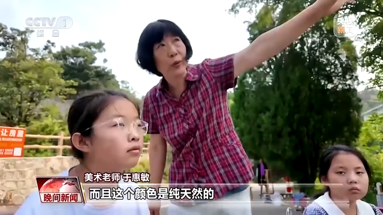 看见美丽中国丨炸水泥厂、种万棵树！“石头村”20年逆袭97%森林覆盖