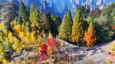 赏秋正当时！湖南登山赏景攻略来了