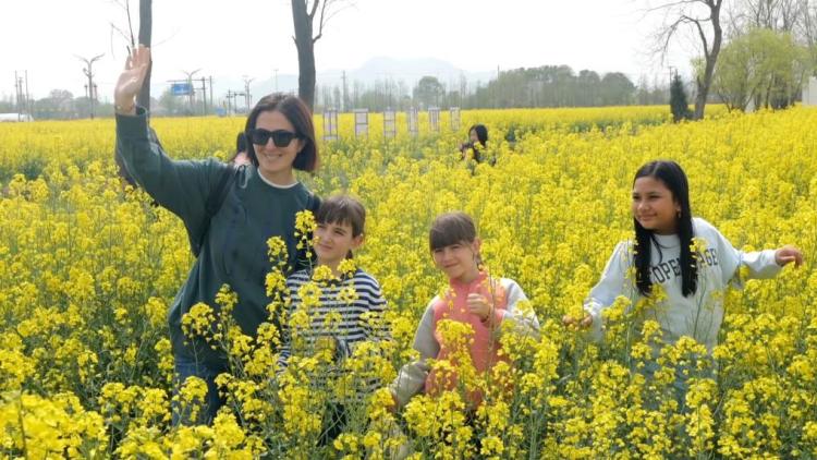 新华视点｜遇见东方 “洋朋友”眼中的中国
