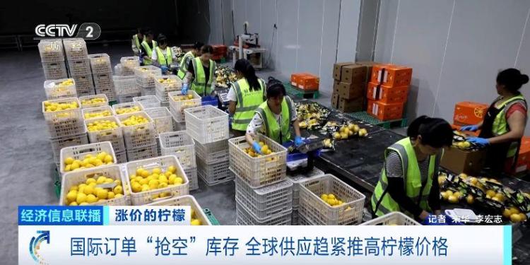 国际订单“抢空”库存 全球供应趋紧推高柠檬价格