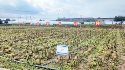 中国工商银行兰州分行：“种植 e 贷”赋能企业 以金融力量深耕县域普惠助乡村振兴