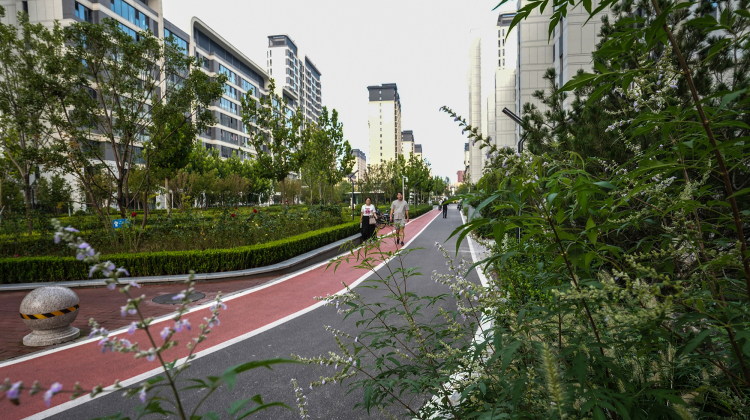 Qian'an Welcomes a "Sports-Themed" Community_fororder_图片12