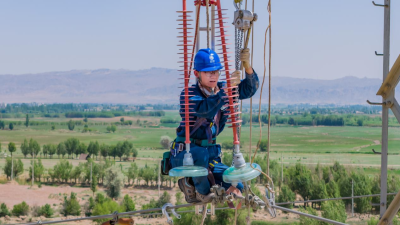 State Grid Zhangye Power Supply Company: Protecting Migratory Birds and Promoting Biodiversity