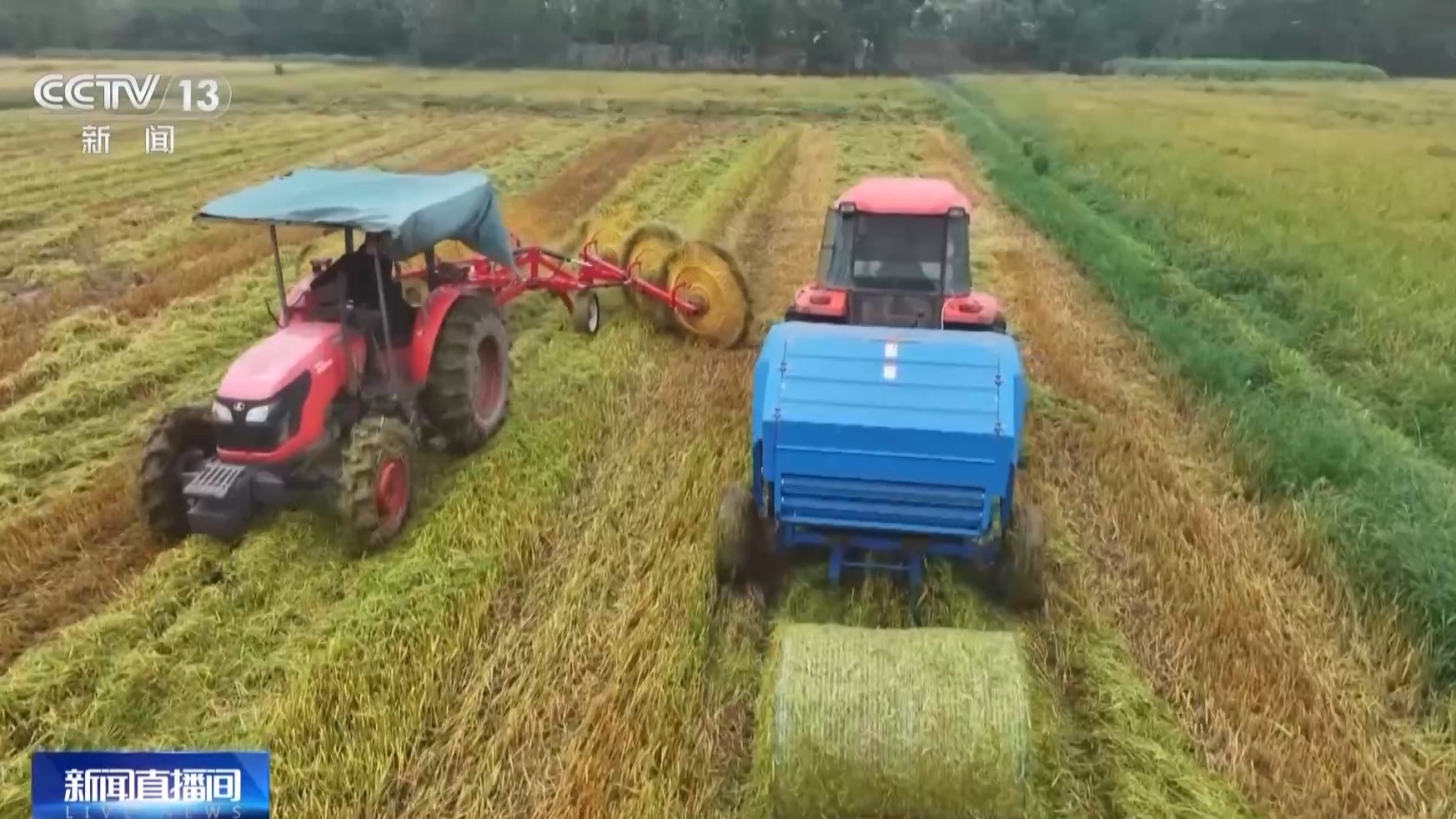 秋收进入冲刺阶段 各地多举措确保粮食“颗粒归仓”
