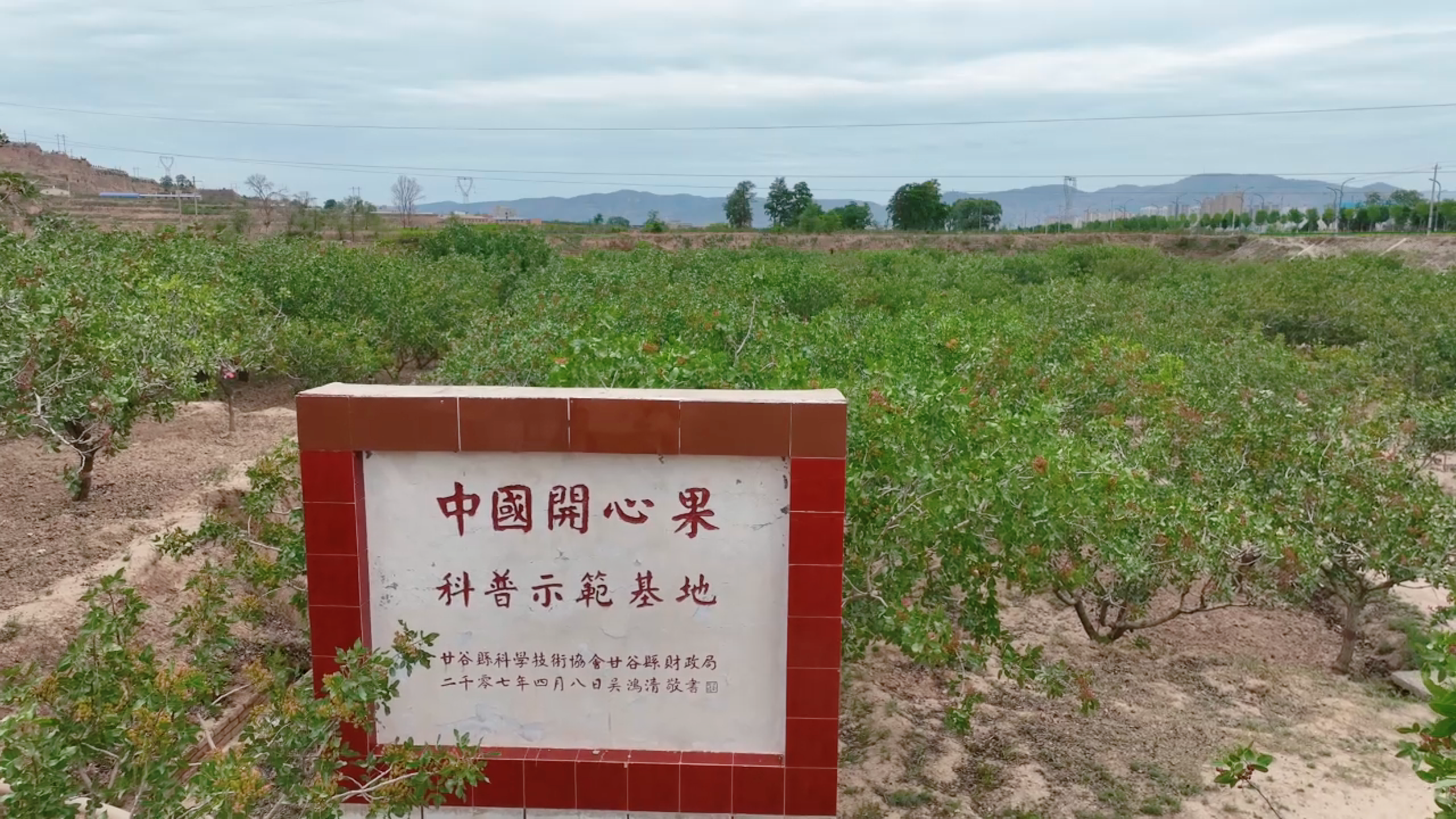 天水市甘谷县：科技耕耘打造“金色名片” 农旅融合助力乡村振兴新动能_fororder_开心果2