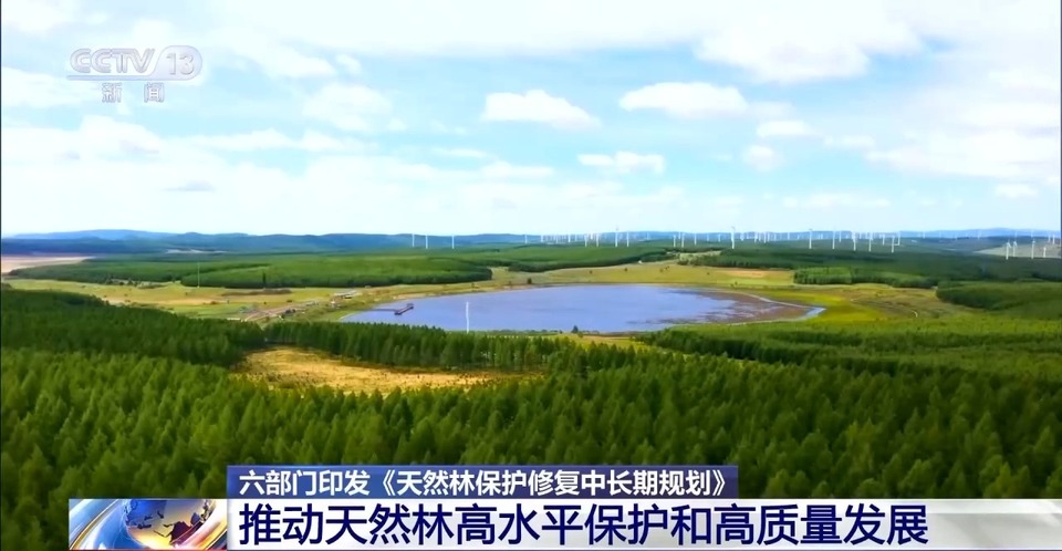 六部门：到2035年 天然林保护修复制度体系基本健全