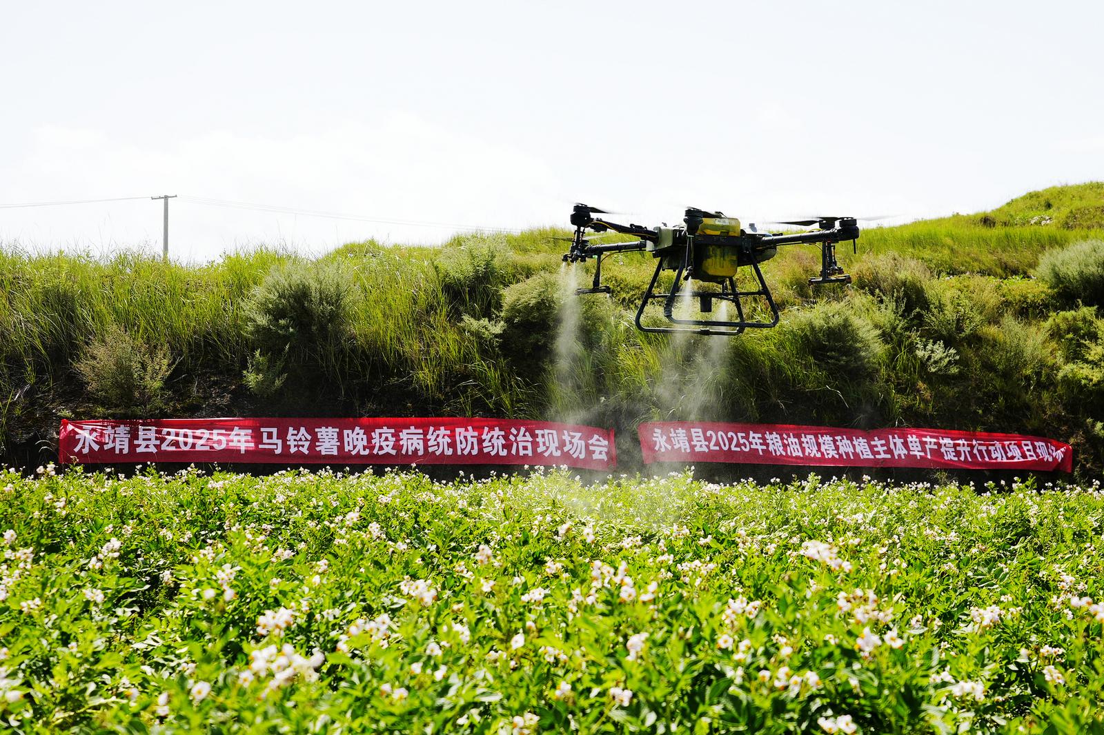临夏永靖：科技赋能兴农业 植保飞防助增收