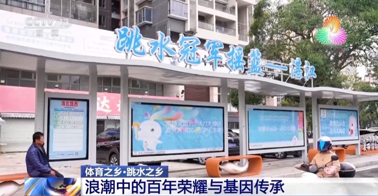 跳水“冠军摇篮”为何是湛江？跟着记者解锁背后密码