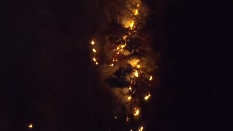 日本神奈川县日向山发生山火