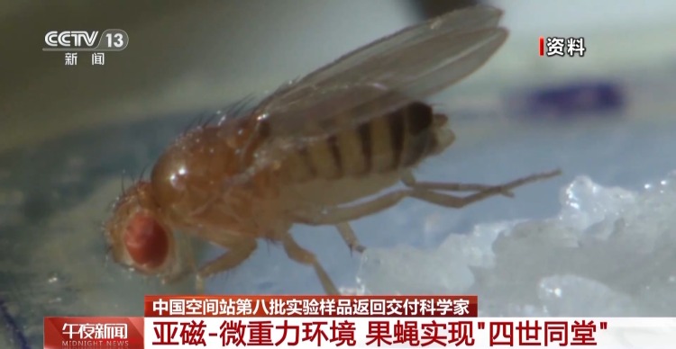 涉及25个实验项目 重约37.25公斤 空间站第八批实验样品返回