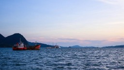 第八届进博会按年计意向成交额突破834亿美元