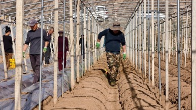 天水市武山县复工复产掀热潮