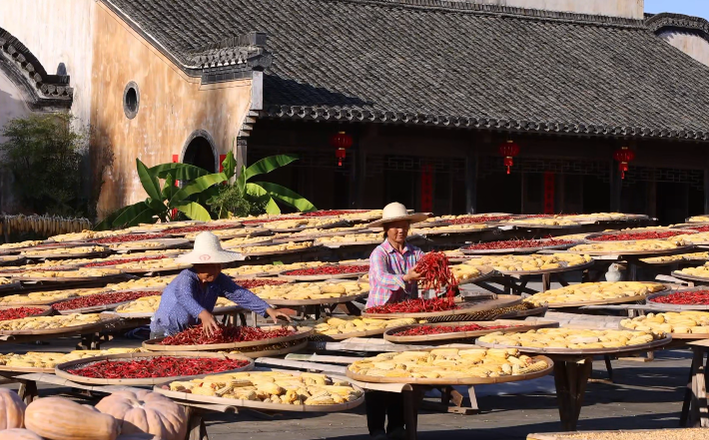 徽州区：古村秋意浓 美景迎客来_fororder_图片1